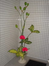 DSC04601