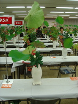 DSC04599