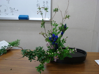 DSC04610