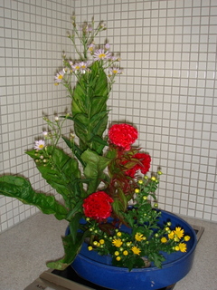 DSC04614