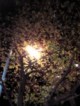 e93f670c.JPG