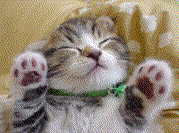 �ɻ�.com