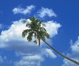 2d09c2a8.jpg