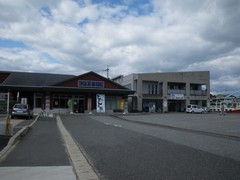 �椿�����α�