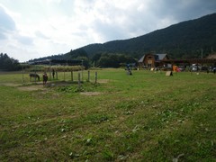 �ȥ�ߥ륯�ե�����