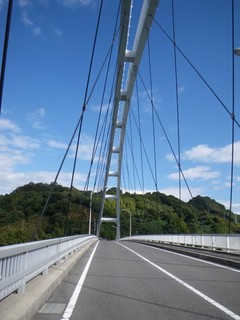 ��¼�綶
