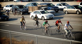 Photos by Steven Rood,  http://www.crimanimalz.com