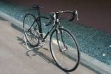 Surly_2