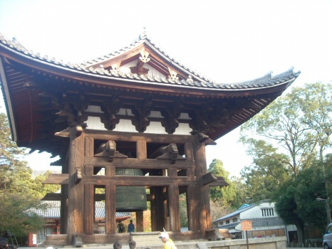 DSCN1046 (2)