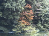 33d87d4e.jpg