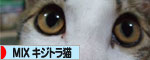 ブログ村バナー