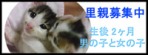 里親募集