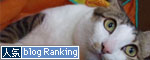 人気ブログランキング