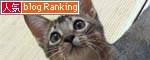 人気ブログランキングへ