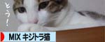 ブログ村へ