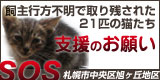 �̳�ƻ���Τ��&�ٱ��罸��