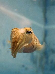 IMG_8076