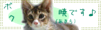 暁への応援&ご協力ありがとうございました!