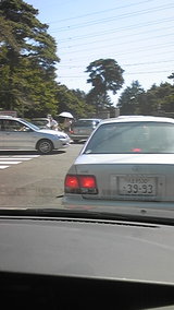0a912a06.jpg