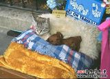 mother and son