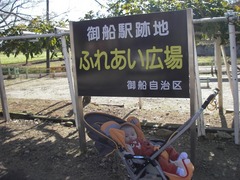 s-IMGP2434