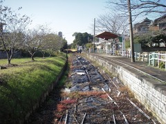 s-IMGP2437