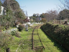 s-IMGP2442
