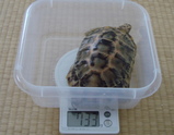 2007年10月の測定