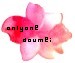 世界に一つだけの花同盟