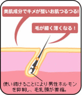 danmen02