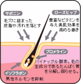danmen01