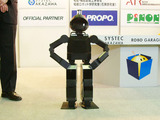 a9133551.jpg