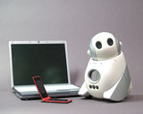 d65e8d87.jpg