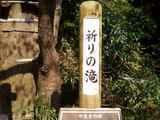 09秋のヒロカワ15
