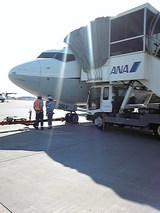 188f8ad8.jpg