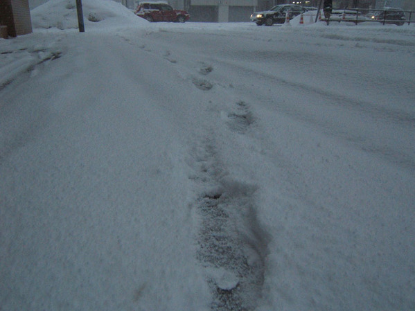 SAPPORO BLIZZARD