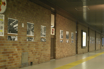 20081115-p01