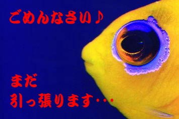 ¤Þ¤À¥À¥á¢ö