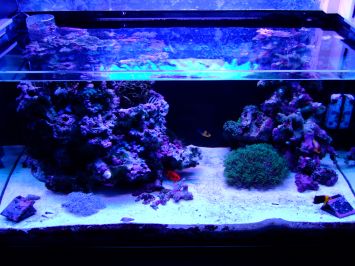 BB450��RB37