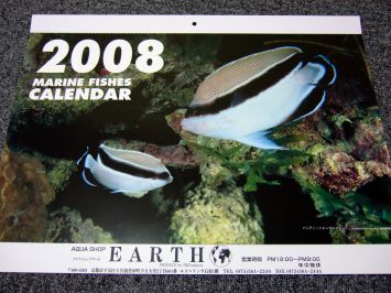2008 ¥«¥ì¥ó¥À¡¼