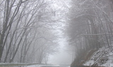 20060119-2.jpg