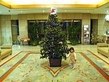 20061120-3.jpg