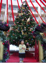 20061121-8.jpg