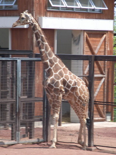 20070505-2.jpg