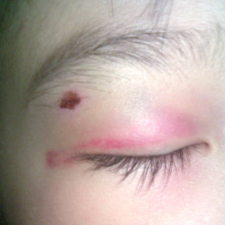 20080528-1.jpg