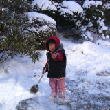 20061229-3s.jpg