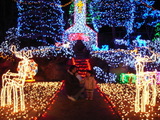 20061225-3.jpg