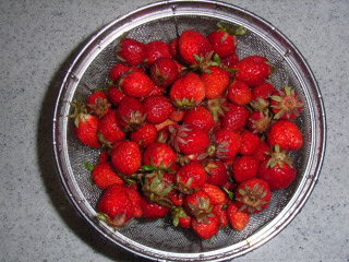 20080620-1.jpg