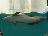 20061217-2.jpg