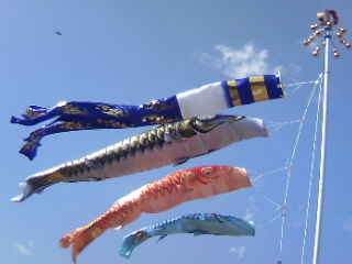 20070504-3.jpg